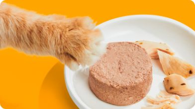A plate of meaty wet food & chicken shreds, with an orange cat's paw reaching toward it on a darker orange backdrop