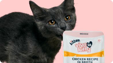 A dark gray kitten licking the side of its face, surrounded by Viva La Kitty packages