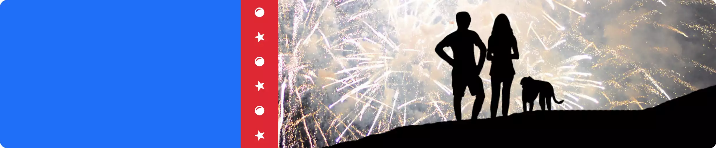 Two pet parents standing outside with a dog watching fireworks