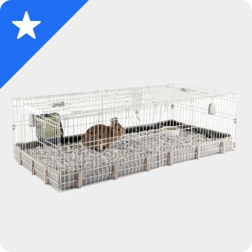 White star graphic on a blue background & a small pet habitat