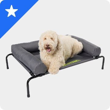 White star graphic on a blue background & a dog laying on a bed