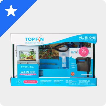 White star graphic on a blue background & a starter kit