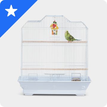 White star graphic on a blue background & a bird cage
