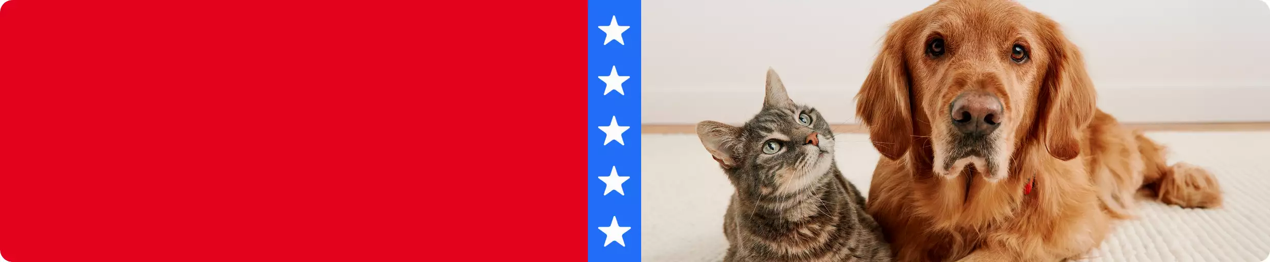 Dog & cat laying on the floor together and a blue stripe with 5 white star graphics