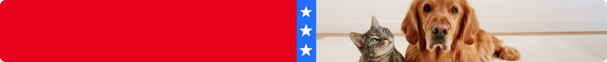 Dog & cat laying on the floor together and a blue stripe with 3 white star graphics