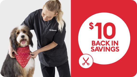 Dog with grooming associate, & "10 back in savings" callout