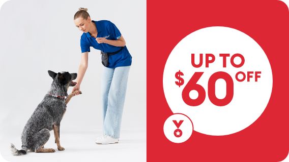 Dog trainer with dog, with "Up to $60 off" callout
