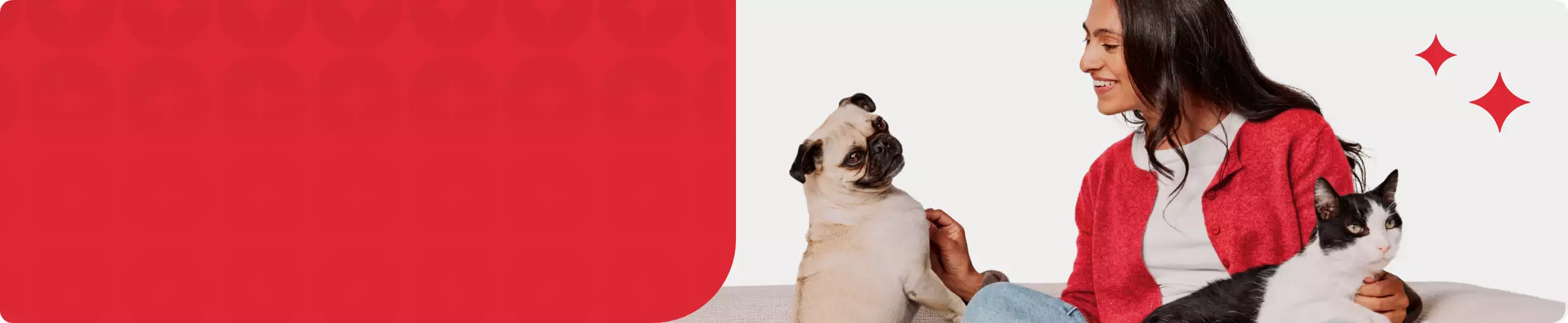 banner with woman sitting on couch with dog and cat