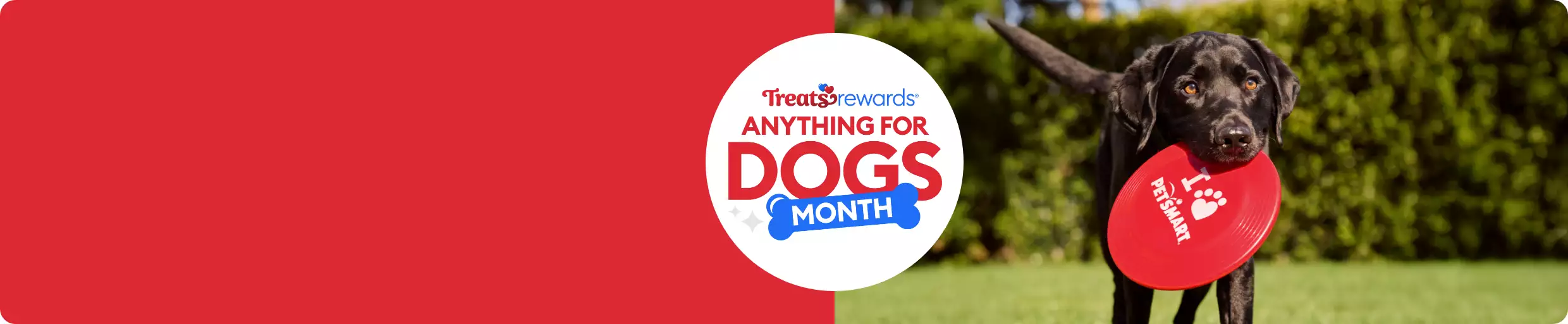 Treats Rewards & Anything for Dogs Month logos, image of dog biting frisbee