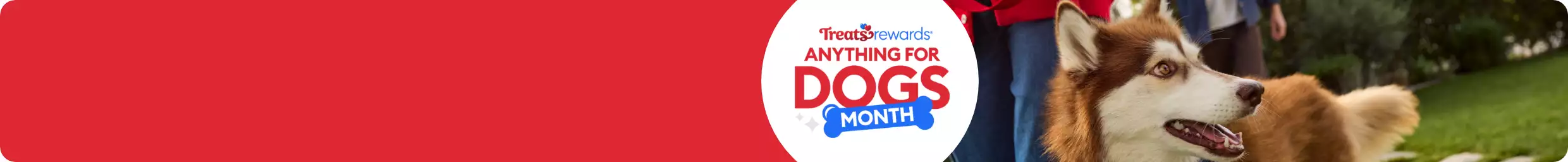 Anything for Dogs Month logo & dog image