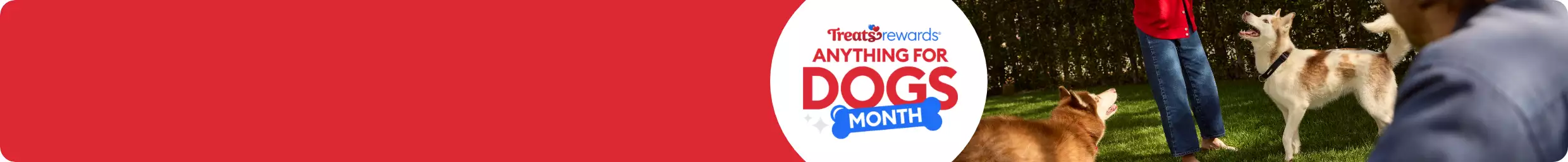 Anything for Dogs Month with dogs outside