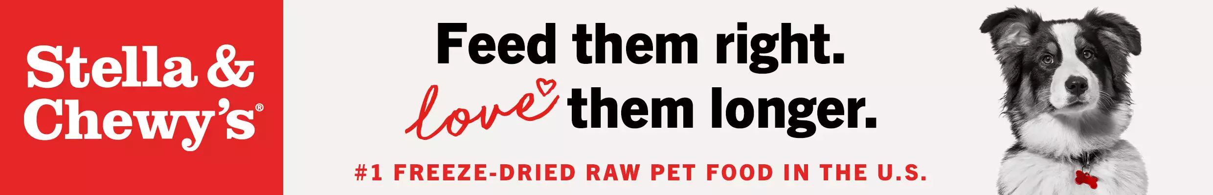 Dog with Stella & Chewy's logo Feed them right. Love them longer text