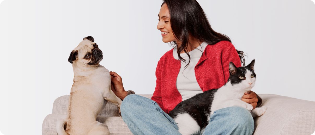Woman with cat on her lap sitting next to a dog