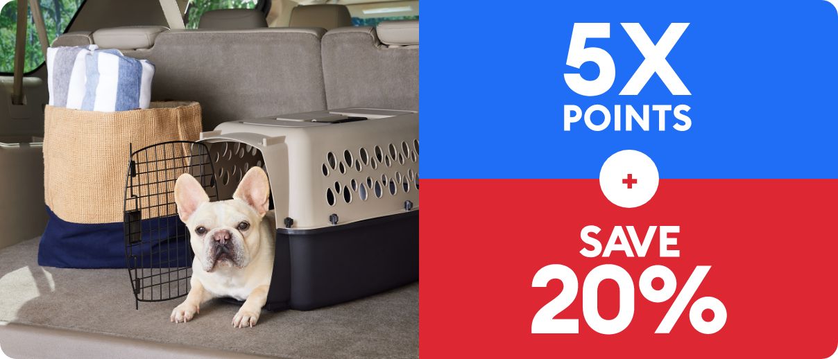 5X points callout, save 20% callout and a dog laying in a kennel