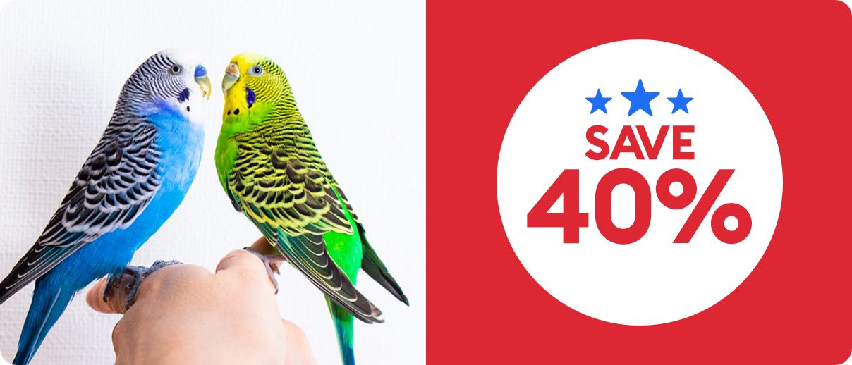 Save 40% callout, blue star graphics and parakeets
