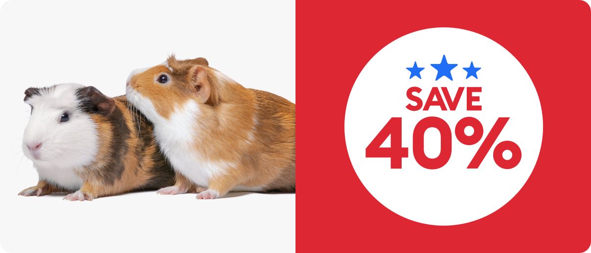 Save 40% callout, blue star graphics and guinea pigs