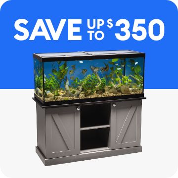 Save up to $350 callout and an ensemble