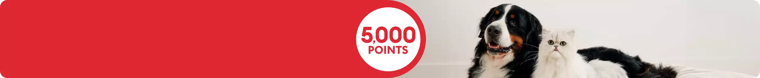 5,000 points callout and a dog & cat laying together