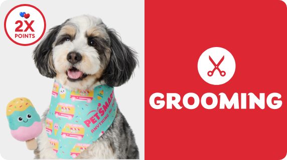 Grooming Salon logo & icon, 2X points callout and a dog wearing a bandana & a plush toy