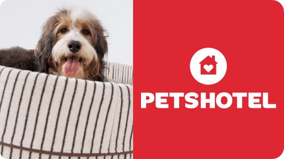PetsHotel logo & icon and a dog in a bed