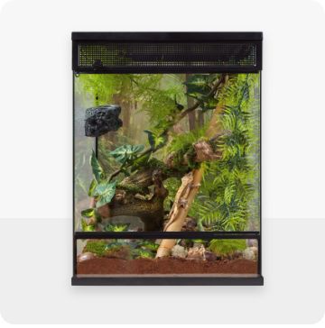 Terrarium