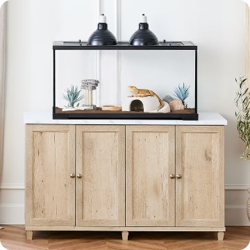 Terrarium on a stand
