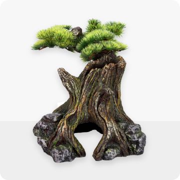 Rock & plant decor