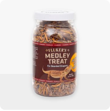 Container of Bearded Dragon treats