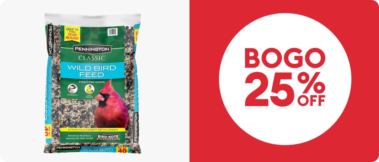 BOGO 25% OFF and a bag of wild bird feed