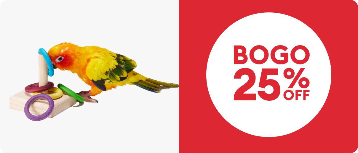 BOGO 25% OFF and bird with ring toys