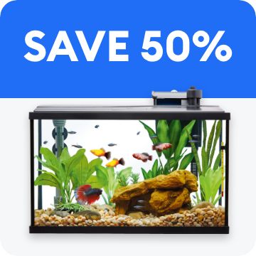 SAVE 50% + an aquarium