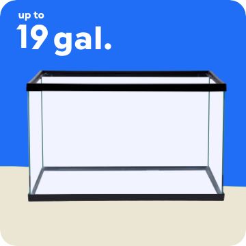 Empty aquarium