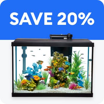 SAVE 20% + an aquarium