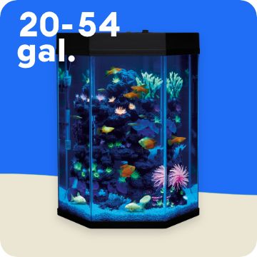 Vertical aquarium with fish & decor