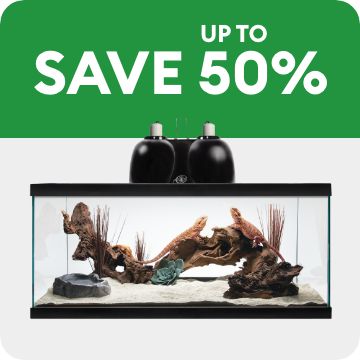 SAVE up to 50% and terrarium