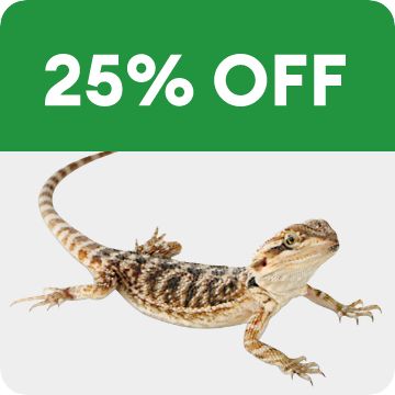 25% OFF and bearded dragon