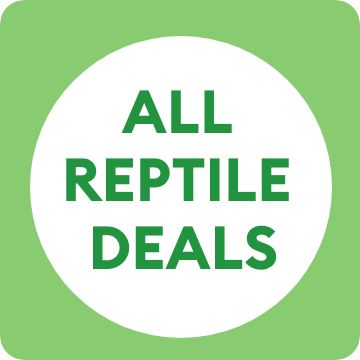 ALL REPTILE DEALS