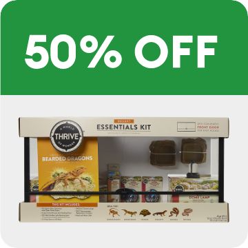 50% OFF & terrarium