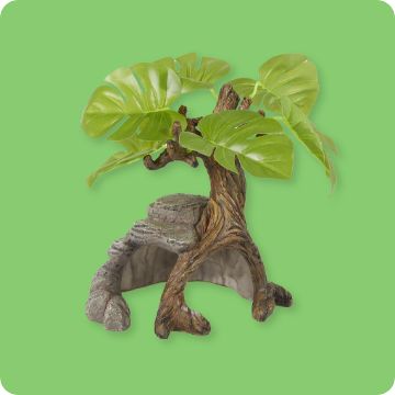 Rock & plant for terrarium