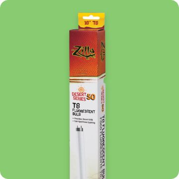 Fluorescent bulb