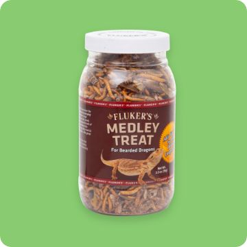 Container of Fluker's Treats for Bearded Dragons