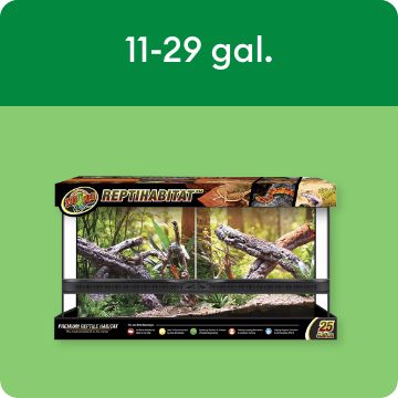 Complete terrarium