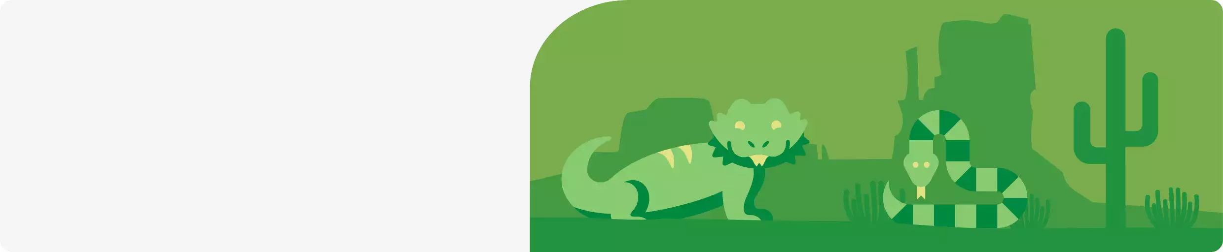 Illustration of Bearded Dragon and Snake in the desert