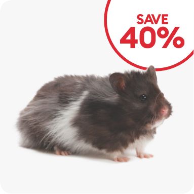 Save 40% callout & a hamster