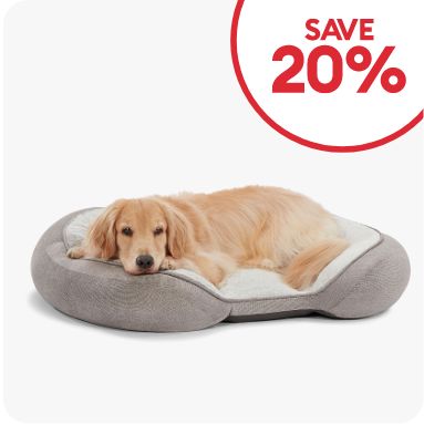 Save 20% callout & a dog laying in a bed