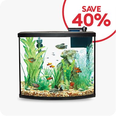 Save 40% callout & a Top Fin starter kit