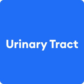 Urinary Tract text