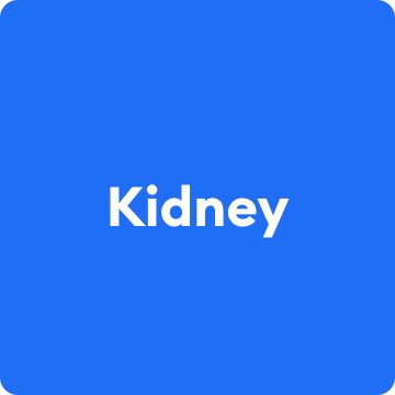 Kidney