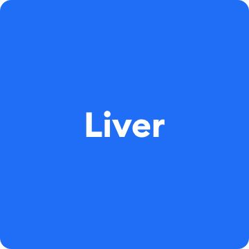 Liver text