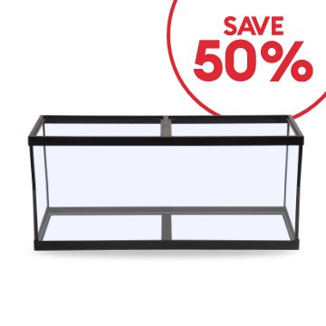 Save 50% callout & an open-glass aquarium